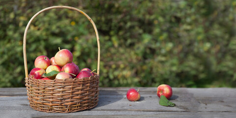 apples in a wicker basket on a wooden table