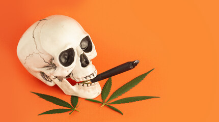 Cannabis halloween concept. Skull and leaves on orange background.
