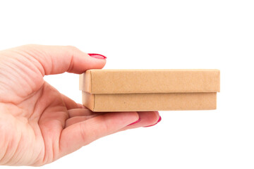 brown paper cardboard box in hand on white background. Mockup for design