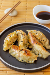 Fried dumplings with soy sauce. Gyoza. Healthy eating. Vegetarian food.