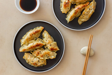 Fried dumplings with soy sauce. Gyoza. Healthy eating. Vegetarian food.
