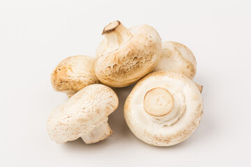 Fresh Champignon mushroom, isolated on white background. Close-up
