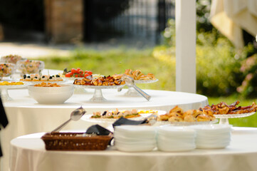 summer fresh finger food on outdoors buffet in wedding in a italian garden villa