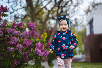 Fototapeta premium A little girl stands near a lush bush of lilacs, she smiles and sniffs purple flowers