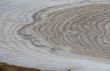 oak texture
Classic oak texture with natural wood patterns. Initial wood processing.

