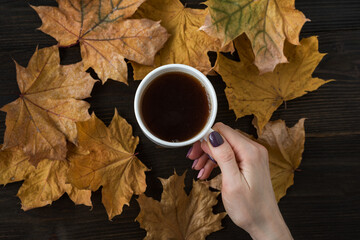 Female hand holding Cup of tea on autumn foliage background. Hot tea on wooden table with yellow autumn leaves