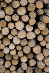 Fein säuberlich frisch gehacktes Holz für den Kamin im Winter