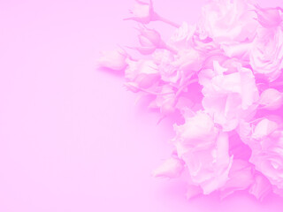 Wedding bouquet of the bride on a pink background.
