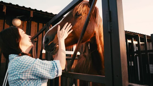 joyful woman touching brown horse in corral