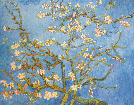 Blossoming Almond Tree. Beautiful oil painting on canvas. Based on the great painting by Van Gogh, 1890. Brush strokes and canvas textures