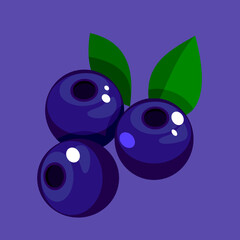 Blueberry. Sweet fruit. Forest berry. 3d vector icons. Realistic illustration