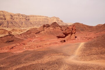 desert path