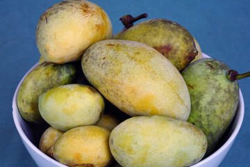 Ripe fruit of the common pawpaw (asimina triloba)