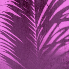 Fototapeta na wymiar Fioletowo różowe tło, roślinne cień plamy.