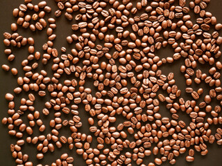 coffee beans background, organic coffee seed
