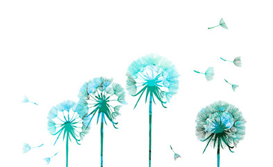 Beautiful colored dandelions. Vector illustration
