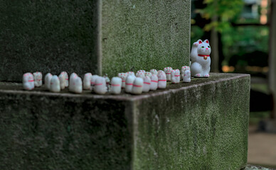 View of a line of Japanese maneki-neko "beckoning cat" figurines curving around the corner of the base of a stone lantern, at Gotokuji Temple in Tokyo