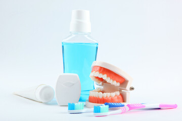 Dental model of teeth and dental care products on light background with place for text