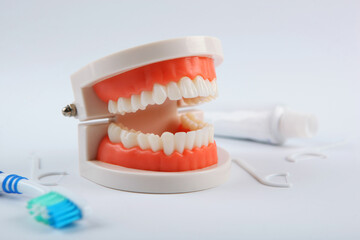 Fototapeta na wymiar Dental model of teeth and dental care products on light background with place for text