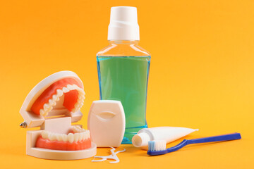Dental model of teeth and dental care products on colored background with place for text