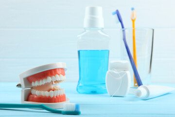 Dental model of teeth and dental care products on colored background with place for text