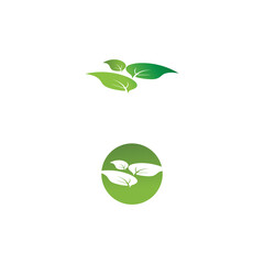 Leaf  ecology Logo Template vector
