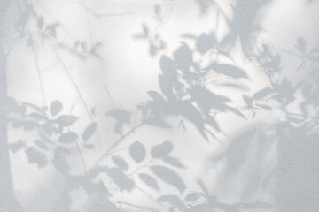Leaves shadow and light on wall background. Natural leaves tree branch and plant shadows with...