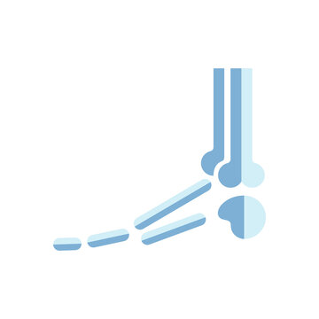 blue bones foot anatomy simple clip art preview
