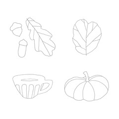  Hand drawn oak leaf, acorns, pumpkin and coffee cup line illustration on the white background. Simple minimalist autumn season line art set