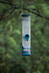 Closeup of bird house suspended on tree branch in a garden