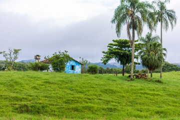 Casinha no campo