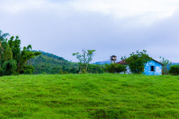 Casinha no campo