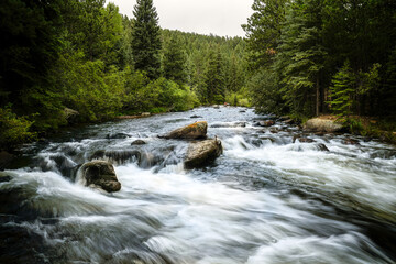 Walker Ranch - Fly Fishing - South Boulder Creek