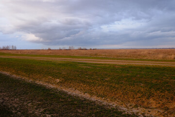 Fototapeta na wymiar Yellowed herbs in the field in the evening. cloudy sky over the field. Evening landscape.