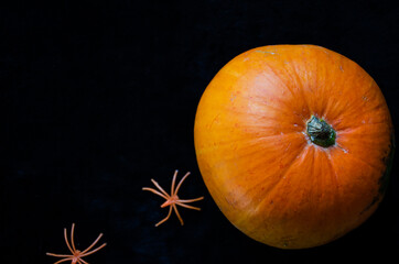Close-up pumpkin and Halloween decor orange spiders on black background with copy space. Halloween concept. Top view, flatlay. Trick or treat festival concept.