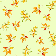 Fototapeta premium Watercolor seamless autumn pattern sea buckthorn and watercolor leaves are Golden.