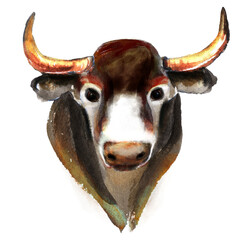 Bull face portrait.