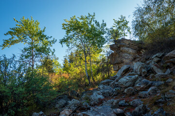 Rocks and autumn trees on the top of a rock. Clear sunny day