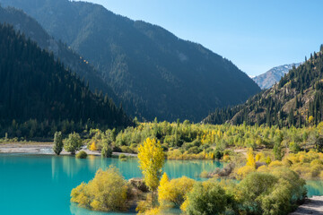 Autumn forest and turquoise lake in the Tien Shan mountains