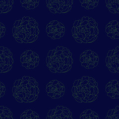Peony on a dark background. Seamless Vector illustration. Print design. Botanic illustration.