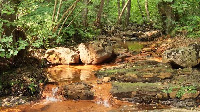 Der "Hambach" in der N&auml;he von Oberhambach, Hunsr&uuml;ck