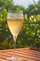 front view, close distance of a chilled glass of champaign, in a lani of a tropical residence