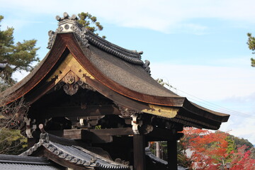Fototapeta premium japanese temple