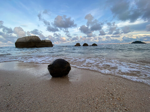 The coconut on the beach with the comming wave in Koh Tao, Thailand