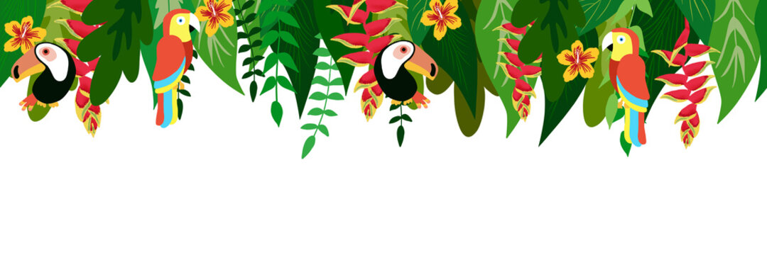 Tropical leaves birds and flowers seamless border. Exotic plants on white background. Tropic rainforest foliage, toucan, parrot border. Exotic plants hanging from top illustration