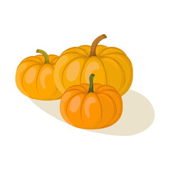 Cartoon pumpkins illustration. Autumn seasonal food drawing isolated on white background.