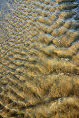 Rippled water over a sandy beach in evening light
