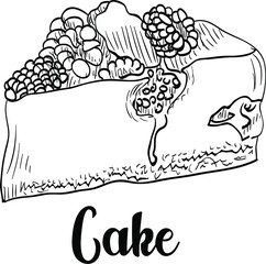 Drawn slice of delicious wild berry cake