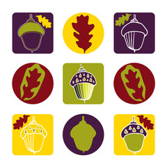 Acorns and oak leafs isolated on white background. Flat style. Vector illustration. Illustration for wrapping paper, post cards, prints for clothes, and emblems. 