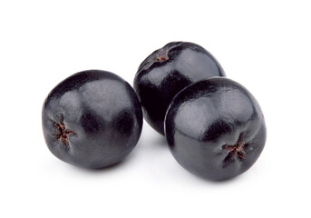 Aronia melanocarpa (black chokeberry) isolated on white background